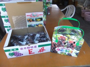 観光農園 ぶどう贈答用